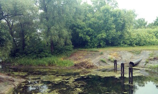 Экологические услуги от ПромМир-Врх в Верхней Пышме - стоимость от 12312 руб.