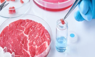 Лабораторный анализ пищевых продуктов по СанПиН в Верхней Пышме в октябре