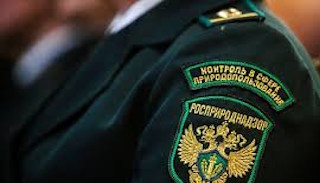 Подготовка к проверке Росприроднадзора в Верхней Пышме от ПромМир, стоимость услуги от 20520 руб.